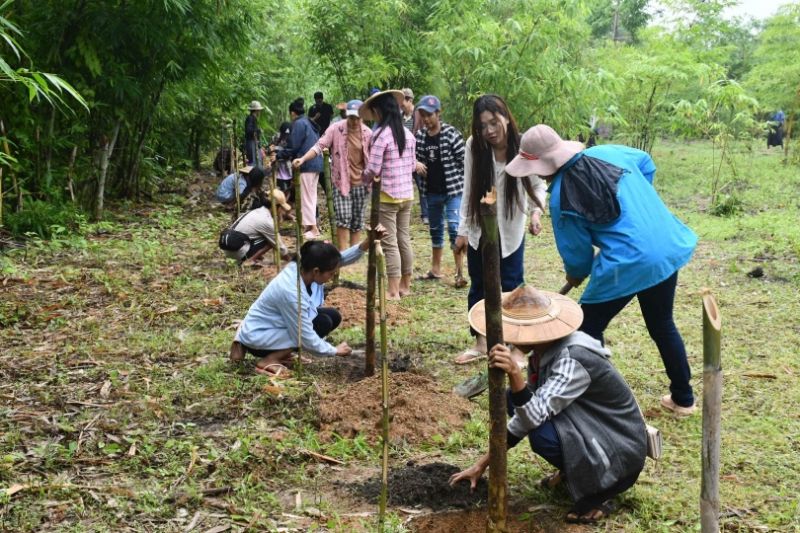 ミャンマーの森づくり｜2022年度 緑の募金事業