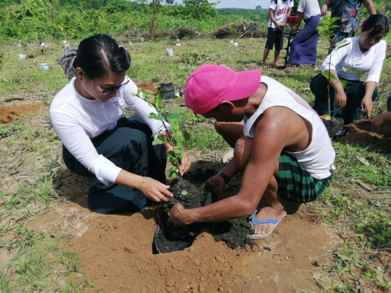 ミャンマーの森づくり｜2019年度 緑の募金事業
